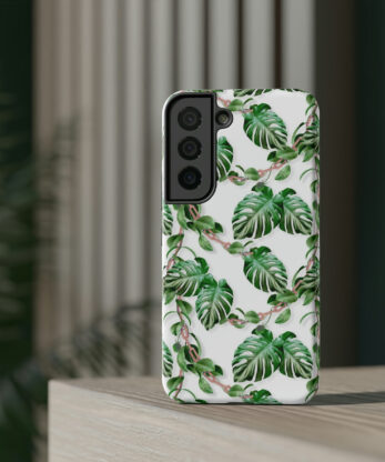 Alternative view of Monstera Paradise