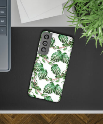 Alternative view of Monstera Paradise