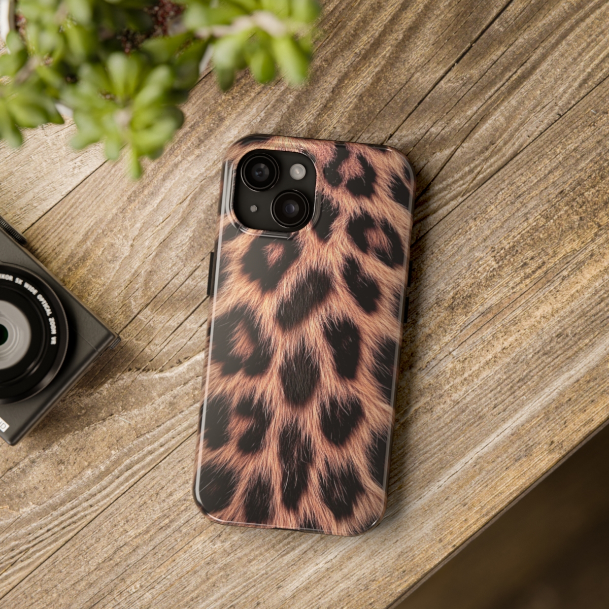 Leopard - Image 4