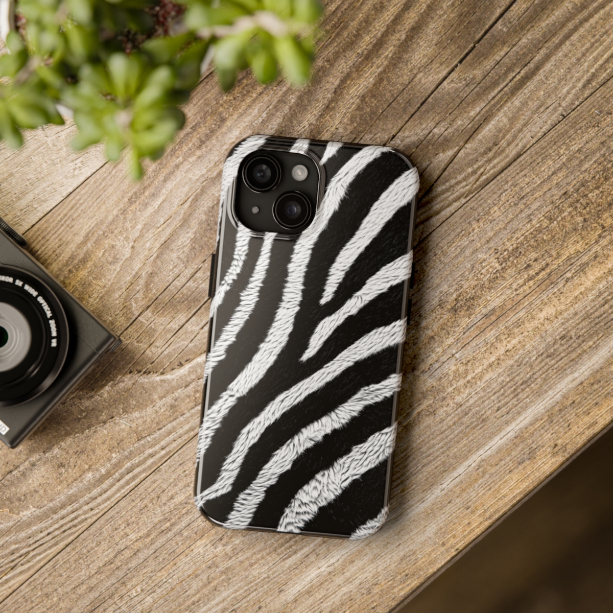 Zebra - Image 4